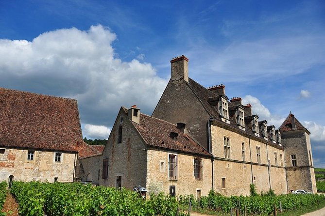 half-day-tour-of-the-cote-de-nuits-vineyards-from-dijon