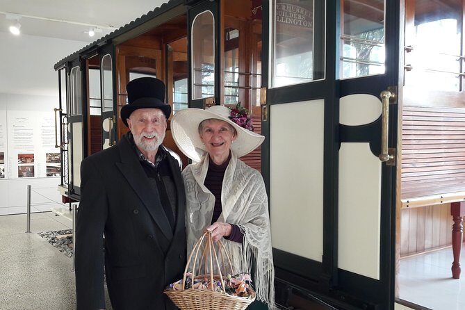 Half Day Tour of Wellington - Why This Tour Might Be for You