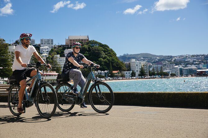 Half Day Tour of Wellington - Who Should Book This Tour?