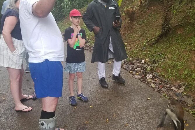 half-day-tour-popular-sites-in-grenada-forest-reservespice-marketwaterfalls