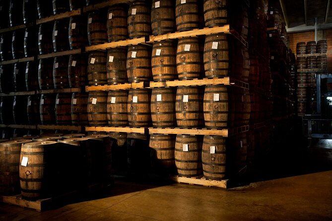 half-day-tour-ron-barcelo-factory-experience-from-santo-domingo