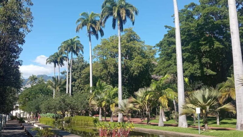 Half-day tour Saint Denis city center in Réunion Island - Valuing the Experience