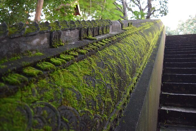 Half Day tour Suan Dok Temple, Umong temple & Doi Suthep Temple - The Sum Up