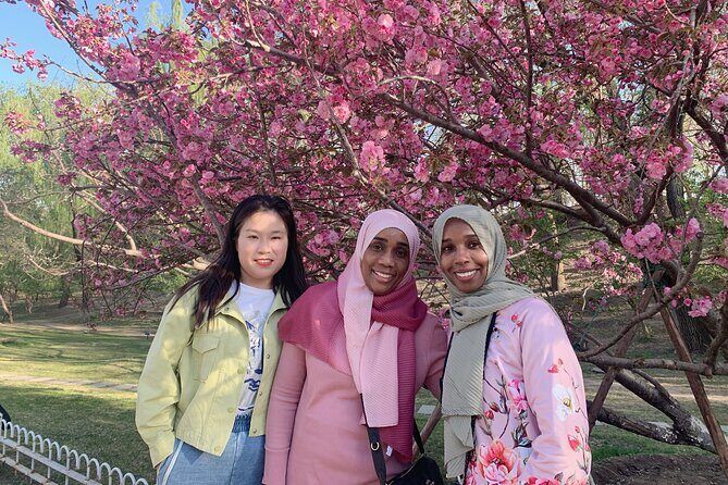 Half Day Tour: Summer Palace, Yuyuantan Park with CCTV Tower Dinning Experience - The Sum Up