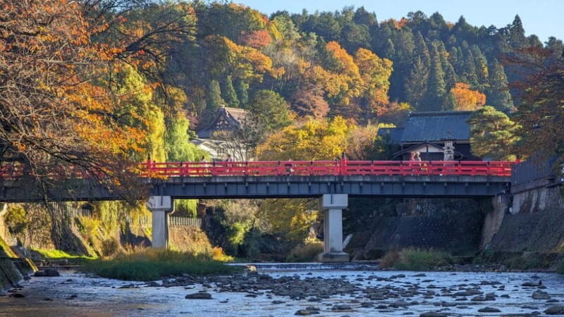 Half-Day Tour: Takayamas Festival Floats & Historic Streets - Why You’ll Love the Experience