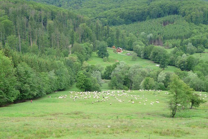 half-day-tour-to-bucovina-painted-monasteries
