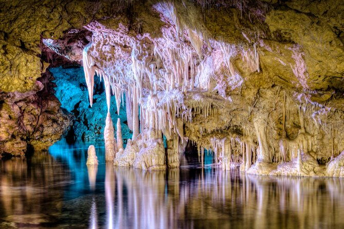 half-day-tour-to-dinosaur-land-in-mallorca