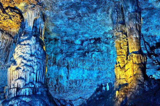 half-day-tour-to-dinosaur-land-in-mallorca