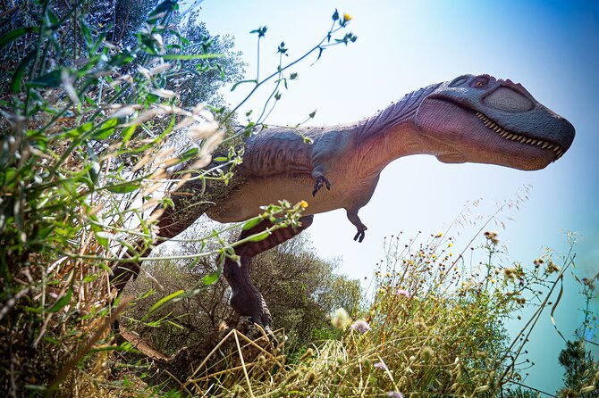 half-day-tour-to-dinosaur-land-in-mallorca