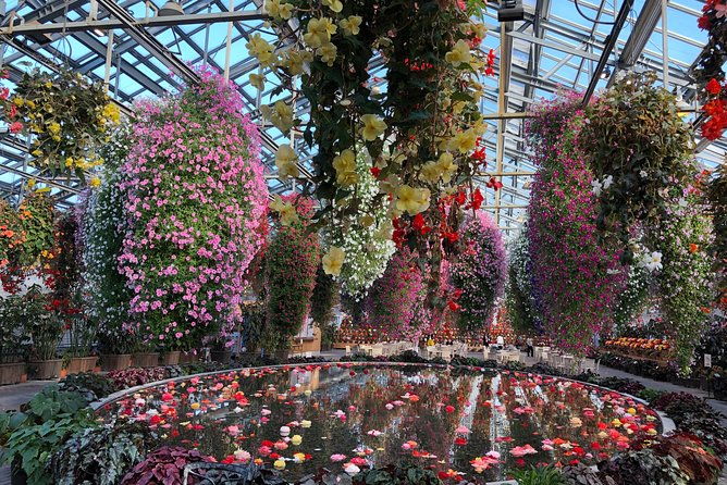 half-day-tour-to-enjoy-japans-largest-illumination-and-outlet