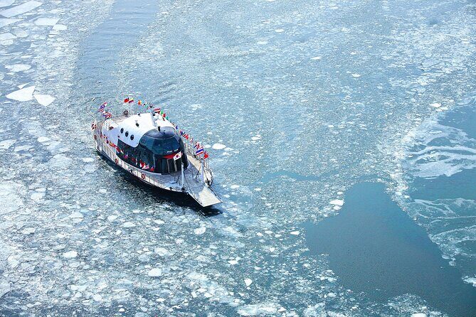 Half Day Tour to Eobi Ice Valley and Nami Island - What Travelers Love and What to Keep in Mind