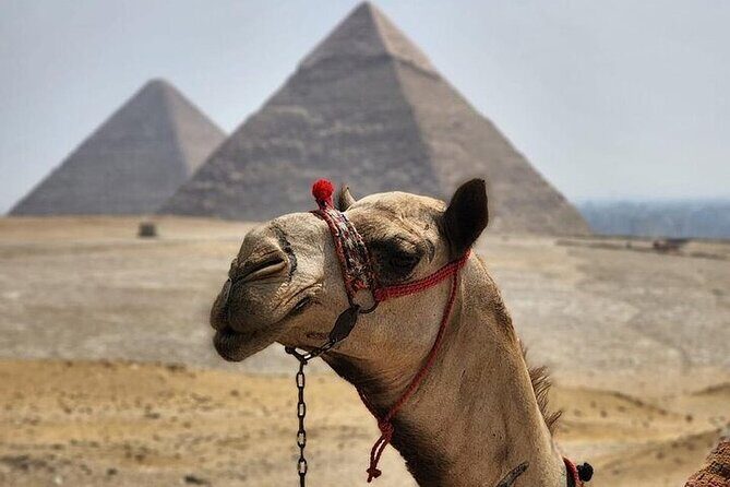 Half Day Tour To Giza Pyramids And Sphinx - Key Points