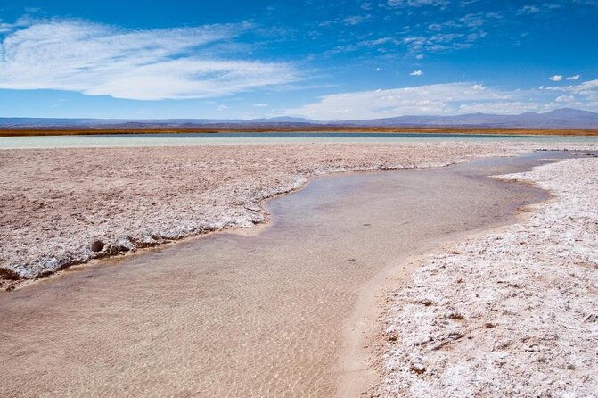 half-day-tour-to-laguna-cejar