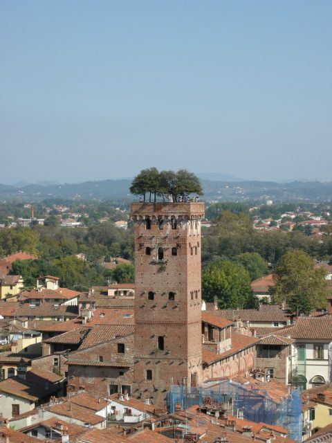 half-day-tour-to-lucca-from-florence