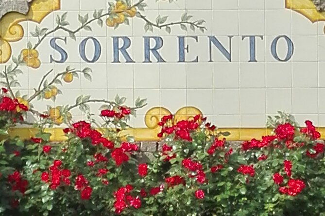 half-day-tour-to-pompeii-from-sorrento