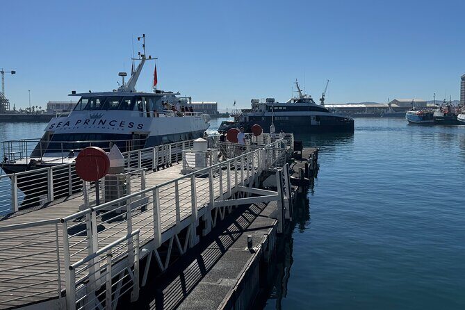 Half-Day Tour to Robben Island with Reserved Tickets. - A Closer Look at the Robben Island Experience