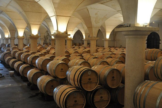 half-day-tour-to-saint-emilion-a-unesco-site-with-a-private-guide