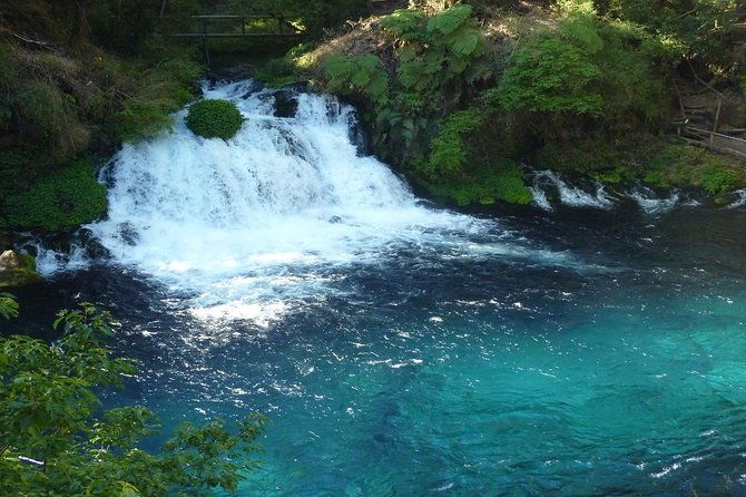 half-day-tour-to-the-eyes-of-caburgua-from-pucon