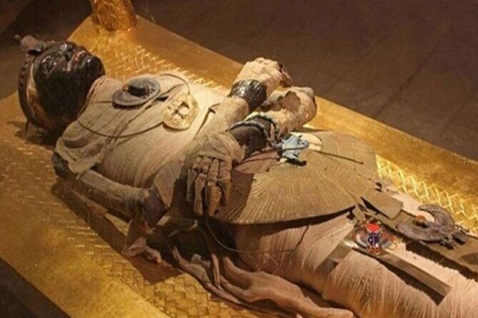 Half Day Tour To The National Museum of Egyptian Civilization - What to Expect: The Itinerary Breakdown
