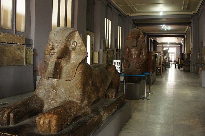 Half Day Tour To The National Museum of Egyptian Civilization - Pricing and Value