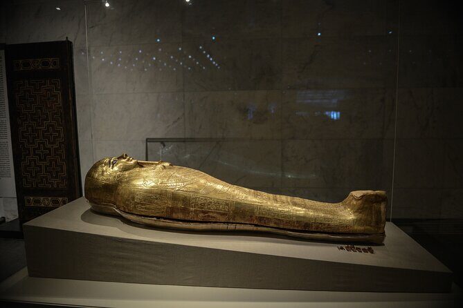 Half-Day Tour to the National Museum of Egyptian Civilization - Key Points