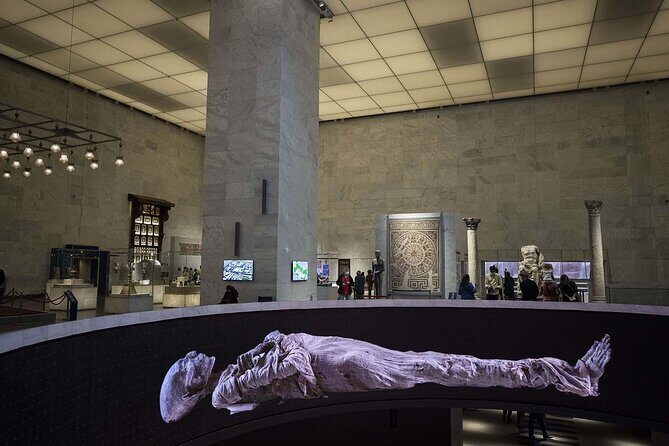 Half Day Tour To The National Museum of Egyptian Civilization - The Experience in Detail