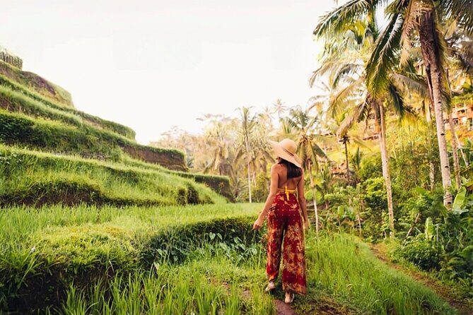 Half Day Tour Ubud Rice Terrace with Activities and Waterfall - Exploring Bali’s Countryside: A Detailed Look at the Ubud Rice Terrace and Waterfall Tour