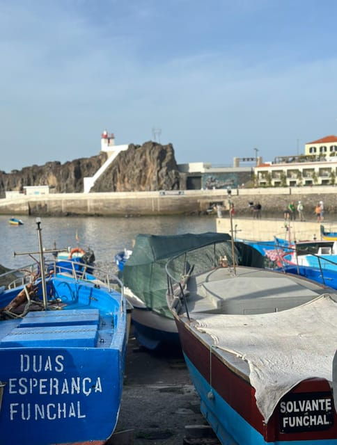 half-day-tour-with-madeira-wine-tasting-2