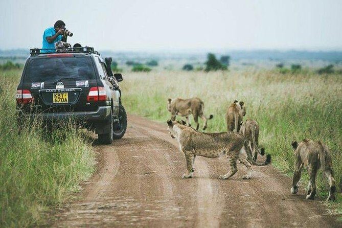 half Day TOURS/NAIROBI NATIONAL PARK/ELEPHANT & GIRAFFE CENTRE - An In-Depth Look at the Tour Itinerary and What to Expect