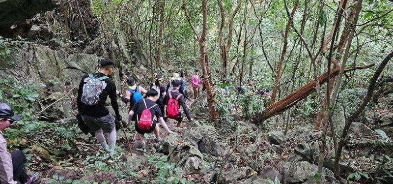 half-day-trekking-cat-ba-national-park
