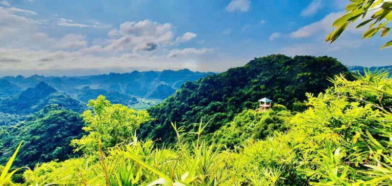 half-day-trekking-cat-ba-national-park