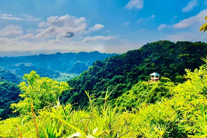 Half Day Trekking in Cat Ba National Park and Hospital Cave - FAQs