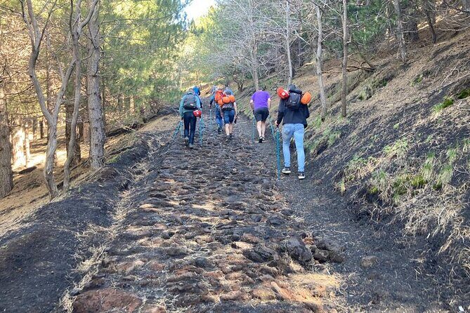 Half day Trekking Tour on Etna - Who Will Love This Experience?
