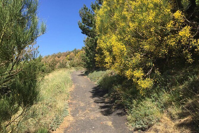 Half day Trekking Tour on Etna - FAQ