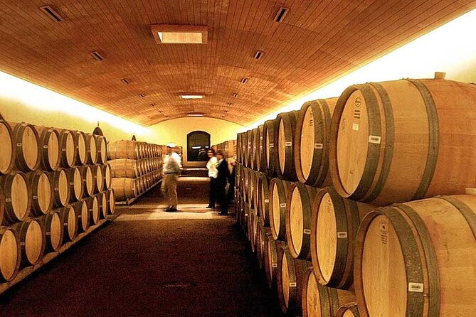 half-day-trip-to-concha-y-toro-vineyard-from-santiago-wine-tasting-included