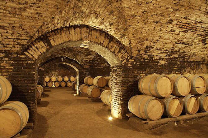 half-day-trip-to-concha-y-toro-vineyard-from-santiago-wine-tasting-included