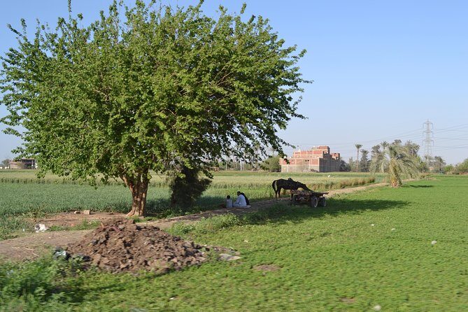 Half-Day Trip to Egyptian Green Farm from Cairo with Breakfast - FAQs