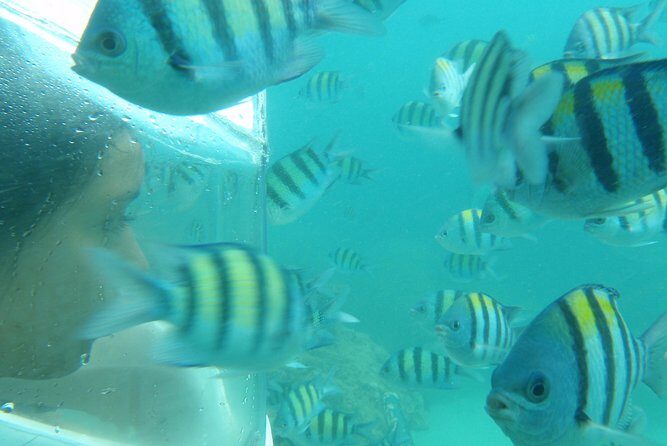 Half-Day Trip to Koh Hey: Snorkeling & Relaxation - Final Thoughts: Is It Worth It?