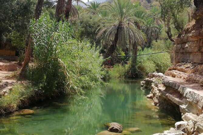 Half Day trip To Paradise Valley From Agadir - Passing Through Banana Village (Aourir): A Colorful Introduction  