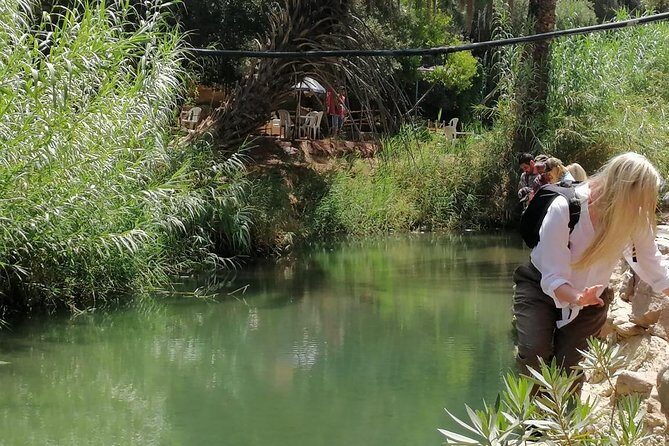 Half Day trip To Paradise Valley From Agadir - What Travelers Are Saying  