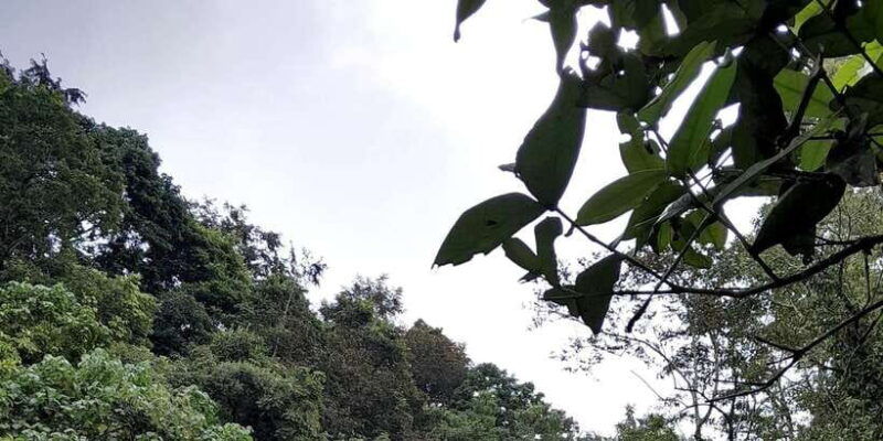 half-day-trip-to-the-waterfall-rice-fields