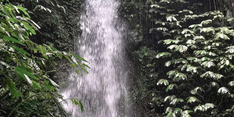 half-day-trip-to-the-waterfall-rice-fields