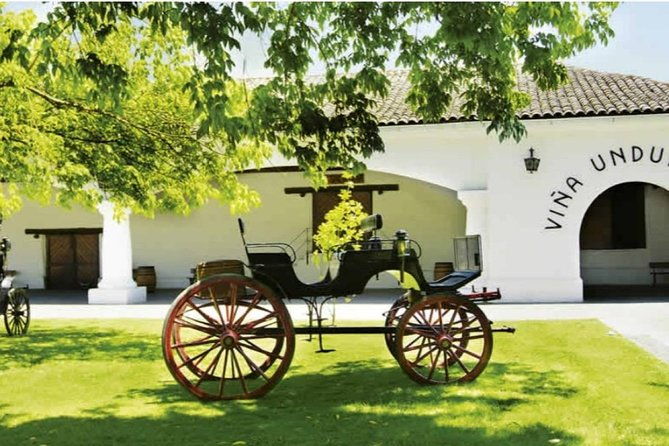 half-day-trip-to-undurraga-vineyard-from-santiago-wine-tasting-included