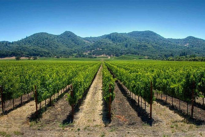 half-day-trip-to-undurraga-vineyard-from-santiago-wine-tasting-included