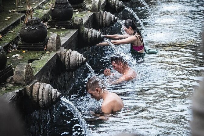 Half Day Ubud Private Tour - All Inclusive - Who Is This Tour For?