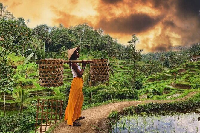 Half Day Ubud Private Tour - All Inclusive - The Sum Up