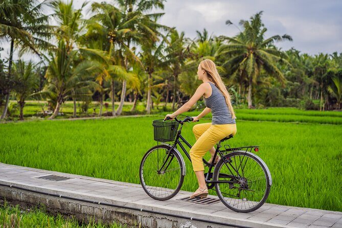 Half-Day Ubud Rice Field and Village Cycling Tour - Key Points
