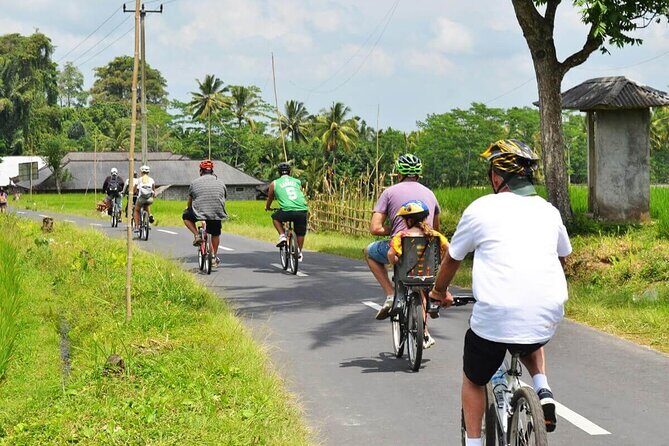 Half-Day Ubud Rice Field and Village Cycling Tour - Insights from Real Travelers