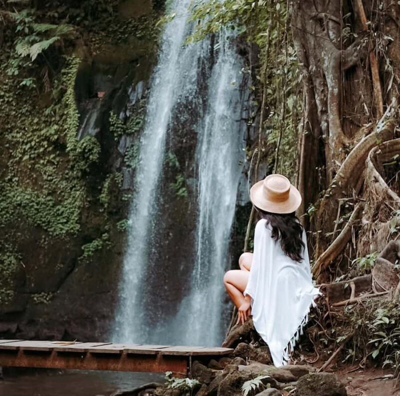 Half-Day Ubud Tour: Pakudui Terraces, Waterfall+Water Temple - Who Will Love This Tour?