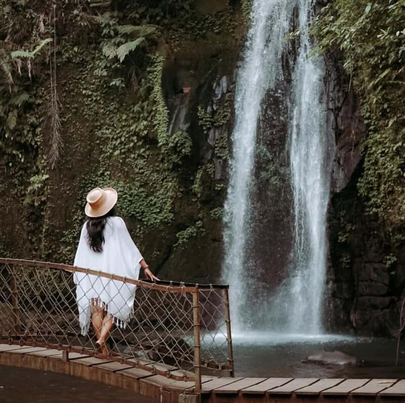 Half-Day Ubud Tour: Pakudui Terraces, Waterfall+Water Temple - Final Thoughts